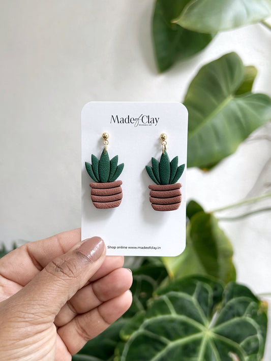 Plant & Pot