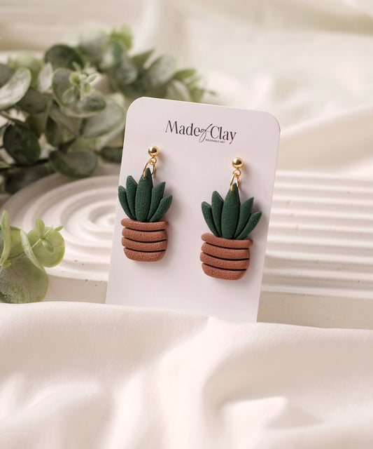 Plant & Pot