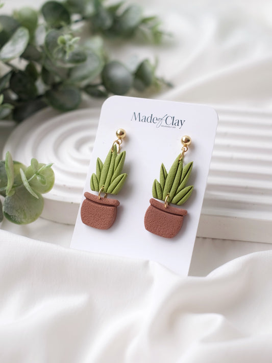 Snake Plant